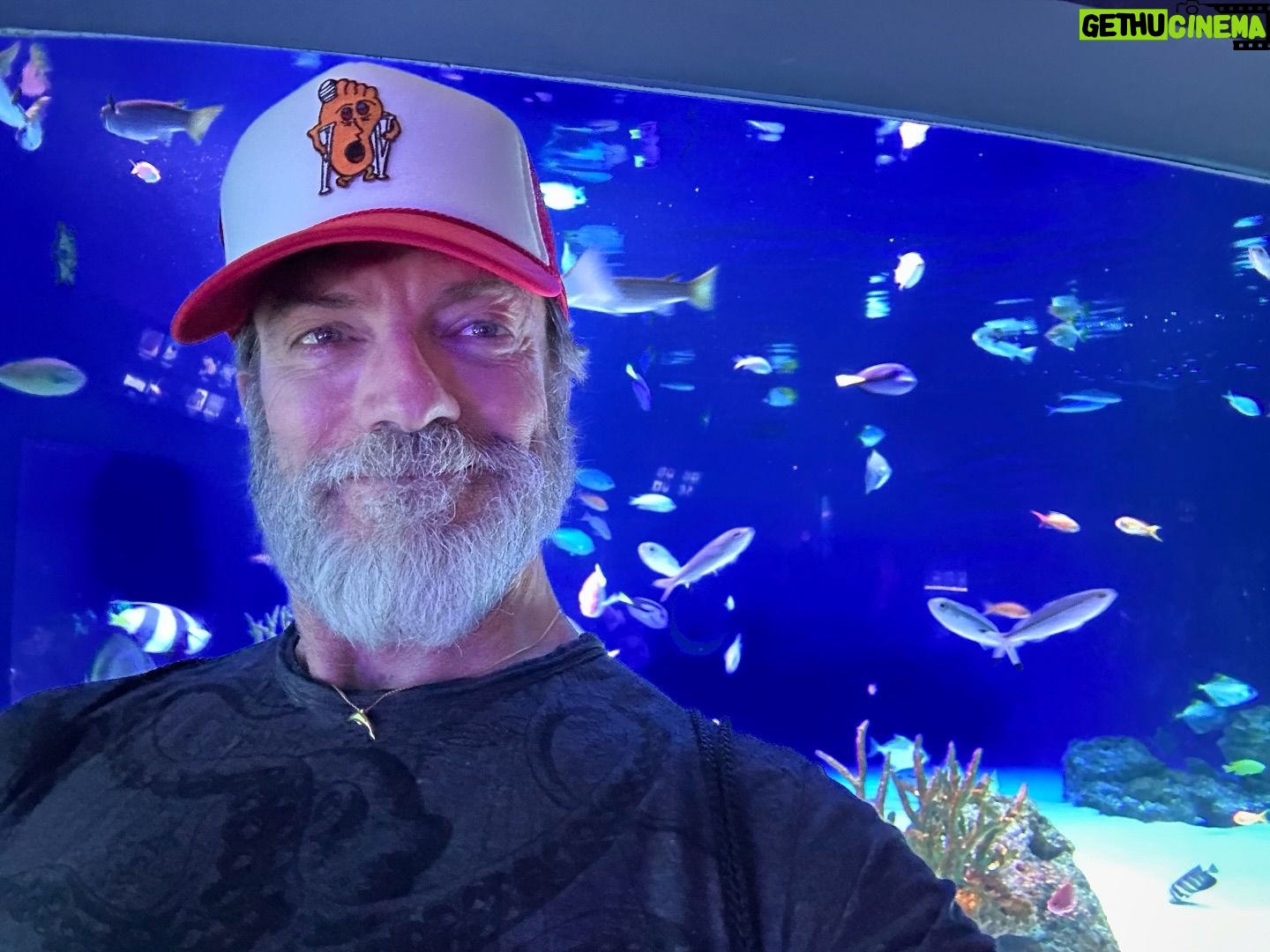 Keith Allan - 649 Likes - Because you really can’t have too many pics of jellyfish. Right?