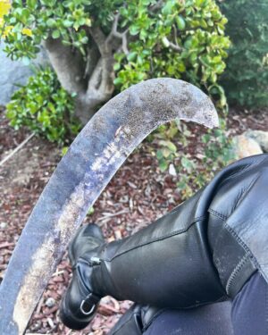 Kelly Carlson Instagram - I never denied cutting rocks. 3rd time now 😖 #rattlesnakeabatement season in full “swing” Ha! Just cutting low brush. Not the snake. By then it too late 😅