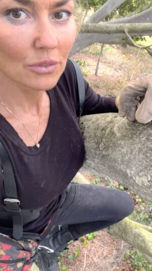Kelly Carlson Instagram - Thinking about MN- watching planes take off by MOA so then decided to climb my tree 🤷🏼‍♀️#nervygirl treeclimbing #whynot #direstraits #80syoutubevideos