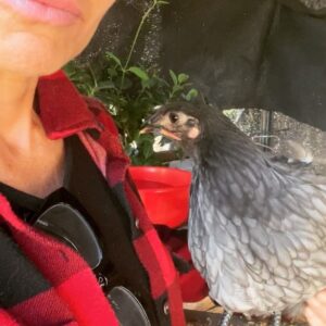 Kelly Carlson Instagram - I’m so in love with this bird ❤️ I swear we had a past life together. Lol Trendy is trending. #trendy