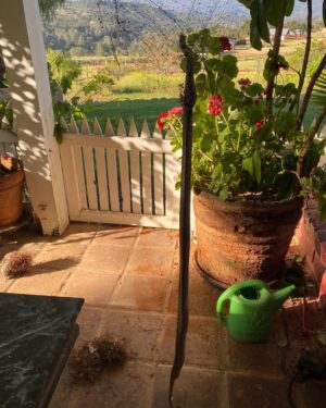 Kelly LeBrock Instagram - Good morning, I’ve been watching these nests for years, then one day ,this amazing Gopher snake , decides he is going to eat the babies .  But it died  trying to feed .a sad day for the snake and the little fur birdies .