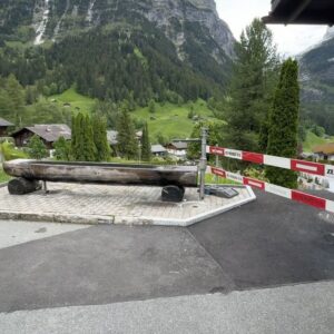 Kelly Wakasa Instagram - SWITZERLANDš