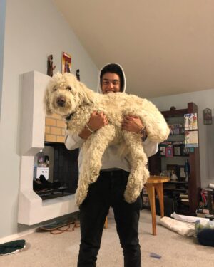 Kelly Wakasa Instagram - last night my dog, Kolby Kobe Wakasa, passed away❤️thanks for the past 16 years, for pulling me on my skateboard, for protecting my fam, and being the best dog ever 🥹 will miss u forever kolbs