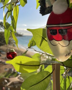 Kelsey Bascom Instagram - tis the sea-sun 🌊☀️🎄

#typeonetypehappy #t1dlookslikeme #type1diabetes #t1d #typeonediabetes #type1diabetic