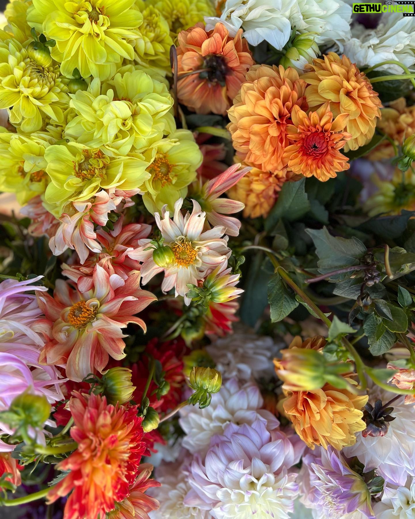 Kelsey Crane - 569 Likes - Shop Farmers’ Markets 🪻🌼🌸 Support our Farmers 🌱 #EatOrganic #EatLocal #SupportOurFarmers & #Farmworkers