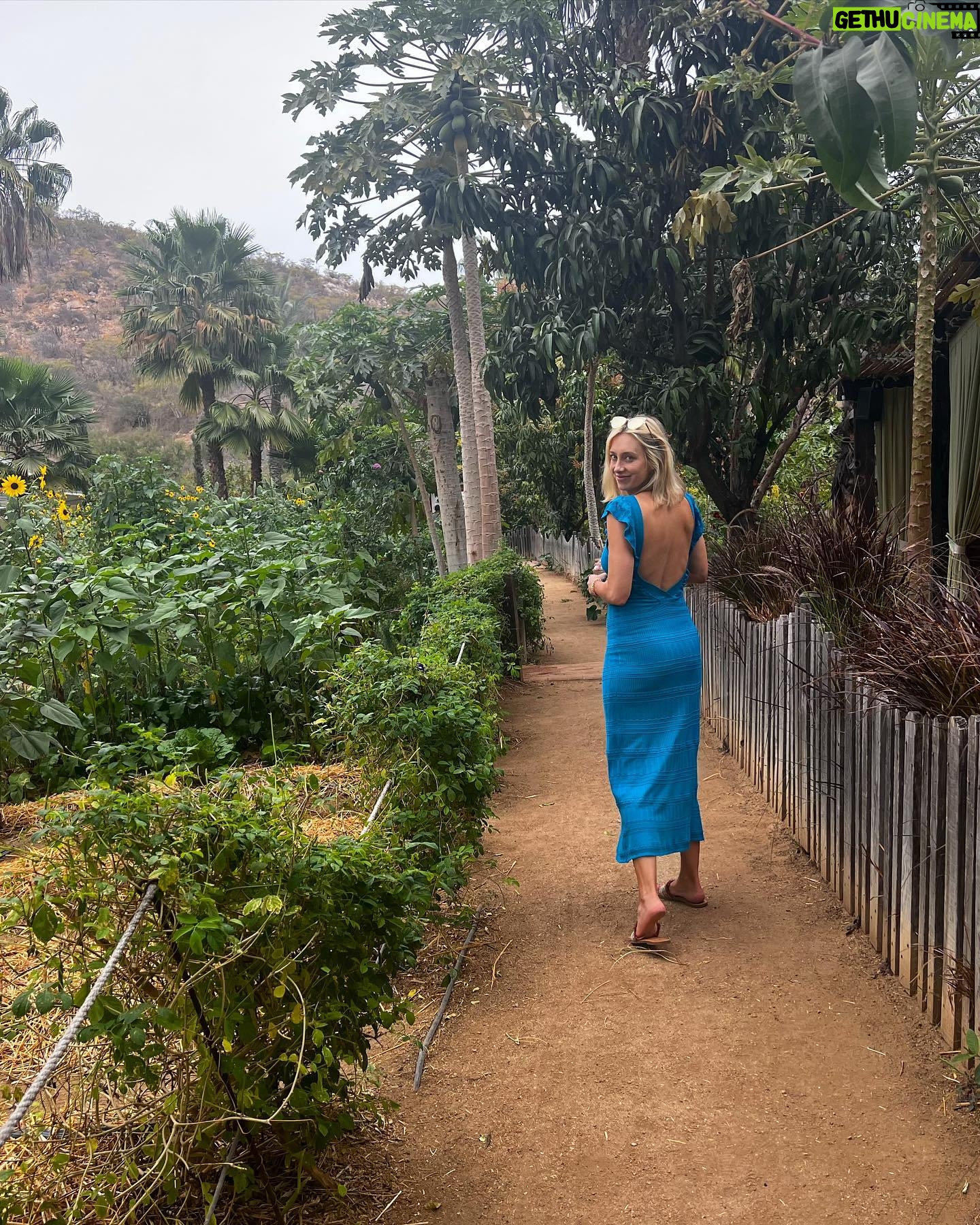 Kelsey Crane - 1K Likes - 🌺 Flora Farms🌵Thank you for your abundant farm land, organic food, live music, gorgeous staff, carrot juice margaritas, fresh burrata, farm spa, turtle pond, and flower crowns… I could go on 🍋 Oh I’m so full and inspired 🌴Can’t wait to come back ✨