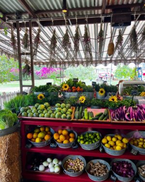Kelsey Crane Instagram - 🌺 Flora Farms🌵Thank you for your abundant farm land, organic food, live music, gorgeous staff, carrot juice margaritas, fresh burrata, farm spa, turtle pond, and flower crowns… I could go on 🍋 Oh I’m so full and inspired 🌴Can’t wait to come back ✨