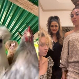 Kelsey Crane Instagram - Grateful for these chicks 🐓🐓🐓#sisters ⁣up in club coop 😂 
⁣
#chickendance⁣ #gotthatfridayfeeling #funnyvideos