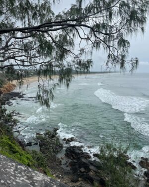 Kelsey-Lee Barber Instagram - 📸 snaps from a great weekend with friends.

#noosa #weekendoff #timewithfriends #beach #australiazoo #recoveryweekend #cocktails #eats #walks