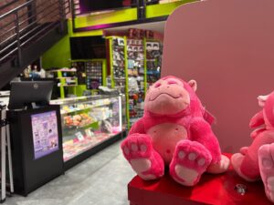 Kelsey Lewin Instagram - The new @PinkGorillaLLC Capitol Hill store has been open for almost three weeks now, and the response we’ve received has been amazing. 

The Capitol Hill community has been so kind and welcoming, and we’ve met so many new faces! (Also returning faces…tons of existing PG customers have made the trek to see the new store!)

We’ve had a lot of help to make this happen. Very thankful to our staff who do an amazing job running the ship and friends who have lent a hand. ❤️

Here’s to a great 2023 for everyone!