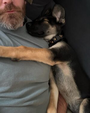 Kenny Brain Instagram - Everyone. Meet Kevin. My new son. I adopted him from a rescue agency this weekend and I couldn’t be happier! It’s been a long time since I’ve had a puppy so we are still getting into our groove - but he’s sleeping through the night and pooping outdoors so I think we are off to a pretty damn good start. Obviously, this is a puppy content account now so be prepared