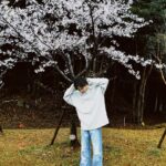 Kento Nakajima