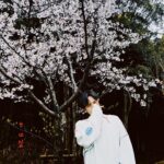 Kento Nakajima