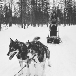 Kerry Bishé Instagram - dogsledding in Finland.