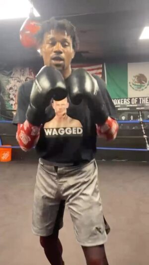 Kevin Holland Instagram - Idk what the heck I’m talking about……..
Just know every day is a @hayabusacombat day this way 🦅

#waggedwear #millions  #hayabusa #meme #team