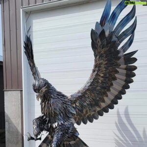 Kevin Stones Instagram - Black Hawk