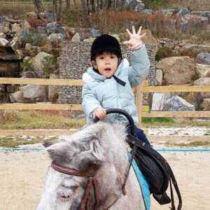 Ki Tae-young Instagram - 우리로희와 가을 나들이 ^^ 우리딸 과 쪼랑말♡ 그리고 알파카
#기태영 #kitaeyoung #lohee #로희 #가을 #나들이 #알파카월드