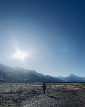 Ki-pin Ng Instagram - 坐在冰箱裡吃生魚片。

#mtjohn
#lakepukaki 
#mtcook