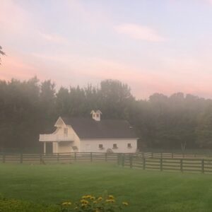 Kid Rock Instagram - Nothing like coffee on the back porch with a beautiful misty Michigan morning. God bless America! -Kid Rock (There, is that better than my other tweet mom?) 😜