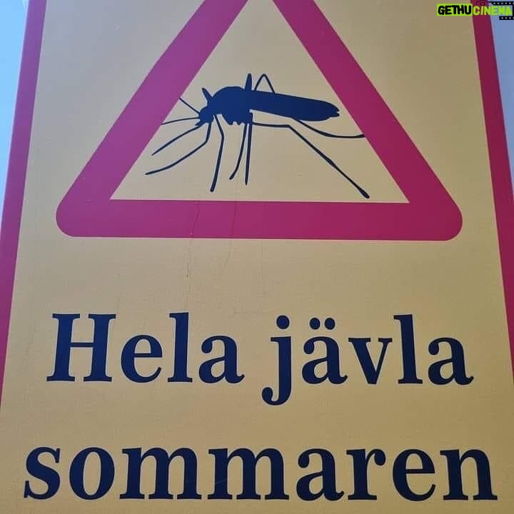 Kikki Danielsson - 1.5K Likes - Hörde p Nyheterna ikväll, att Idag är det Vårdagsjämning😳Skojar dom??
I Bollnäs är d Full Vinter, snöade igår, Livsfarliga isiga gångvägar🥵 Men det är ju inte MKT som är som det varit!!
Bilden på myggan här har jag satt fast på mitt kylskåp, f att Inte Riskera att åka ner i källaren p gr a Missmod😰 Vi har ju i Alla Fall haft Myggfritt bra länge nu✌️Men Sen, när myggan väl dyker upp, glömmer vi bort hur vi klagade på snö å is! För Då har vi fullt upp med att klaga p myggen å värmen🤣😱