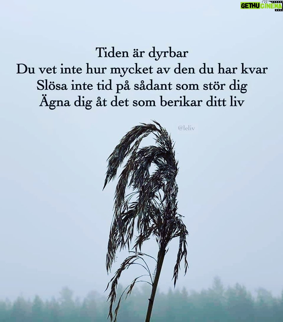 Kikki Danielsson - 2.4K Likes - Konsert igår i Karlstad som var Storartad på Alla Sätt❤️En Väninna förlorade kampen mot cancer, och jag lovade henne, att sjunga ”Amazing Grace” på hennes begravning, om hon inte överlevde. Begravningen var idag!
Igår före show, kände jag Förtvivlan: Jag skulle inte hinna i detta halkväder, snöblandat regn och Restiden, 4,5 timmar. Dessutom ville Ingen köra på natten!
06:00 imorse, lämnade Sulo , jag chaufför Karlstad mot Bollnäs☃️
Jag hann hem, ta på begravningskläder, kom med sonen sist av Alla t kyrkan. Sjöng min sång, utan sömn el uppsjungning, nästan OK. Var Så Nöjd med att slippa svika min väninna hennes familj🌹En Mkt Vacker begravning för en Vacker Kvinna som Älskade Livet men som inte fick leva det Färdigt🕯