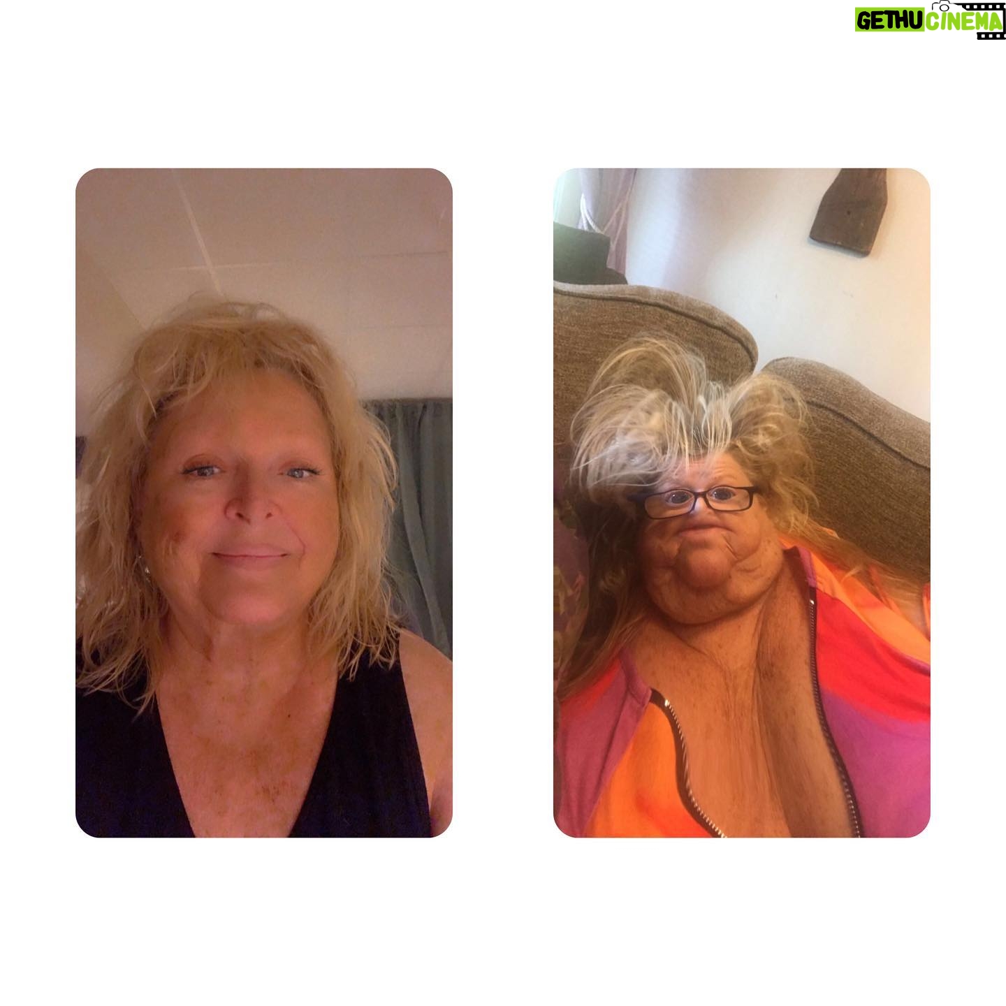 Kikki Danielsson - 2K Likes - Visst är det Märkligt och Frustrerande, att fotografier kan skilja sig åt så Mkt🤔En vanlig Selfie kan ibland bli Fantastiskt Bra, medan en körkortsbild el ett passfoto kan bli Katastrof👹Då har man oftast sminkat sig å är nöjd, innan man ställer sig framför kameran🤩Jag har Själv Aldrig varit med om, att jag är Nöjd m dessa Hemska bilder😱Smink hår bara försvinner i tryckprocessen😩Någon har sagt:”Om man är på fest, å din spegelbild säger dig, att du börjar likna ditt Passfoto, DÅ är det dax att gå hem!!”🛌🏠