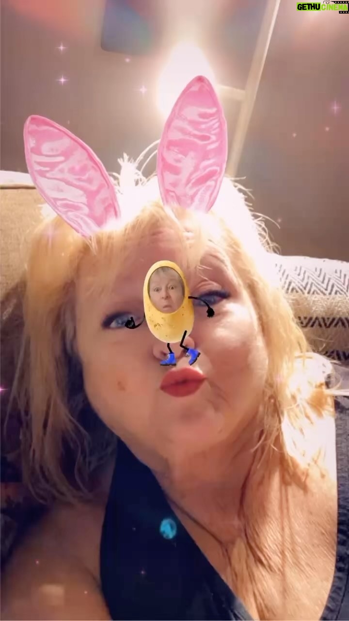 Kikki Danielsson - 2.6K Likes - Nu vill jag önska Alla Här en GO å GLAD PÅSK🐣🌷Jag blev Något Orolig igår😱Skulle köpa ägg, å det fanns enbart de största kartongerna kvar🥵Väntar t imorgon å hoppas, att det fyllts på🙏