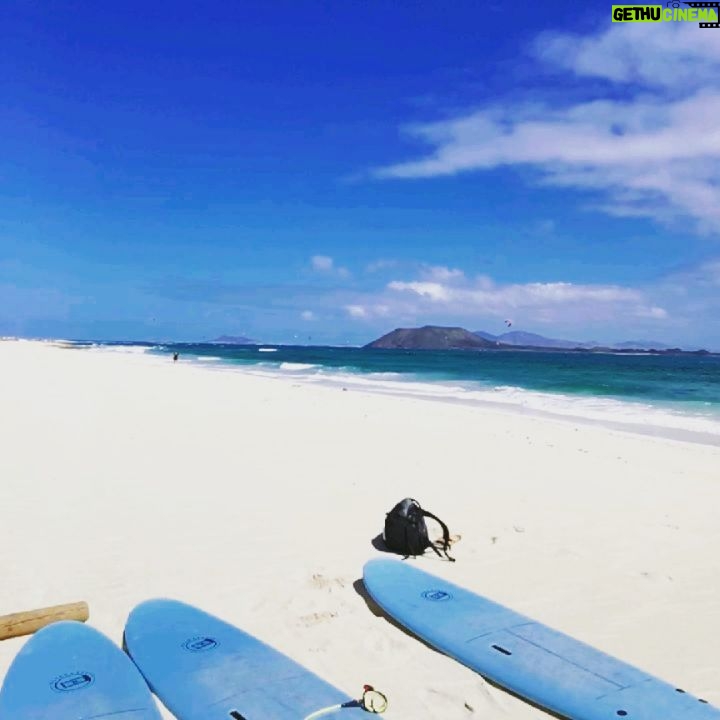 Kim Adis - 556 Likes - Absolute bliss... 🏄🏽♀️🌺🌞 @amanay_surf_school