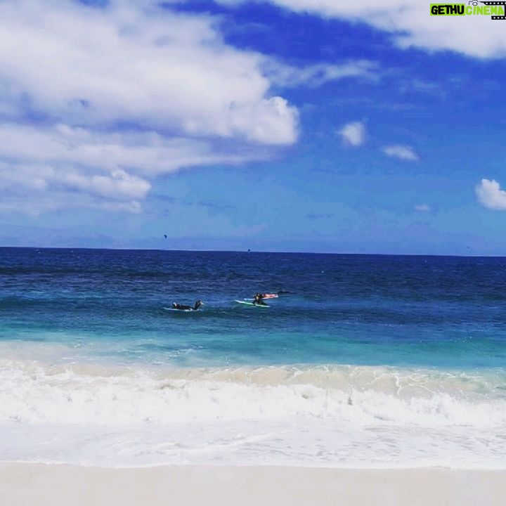 Kim Adis - 556 Likes - Absolute bliss... 🏄🏽♀️🌺🌞 @amanay_surf_school