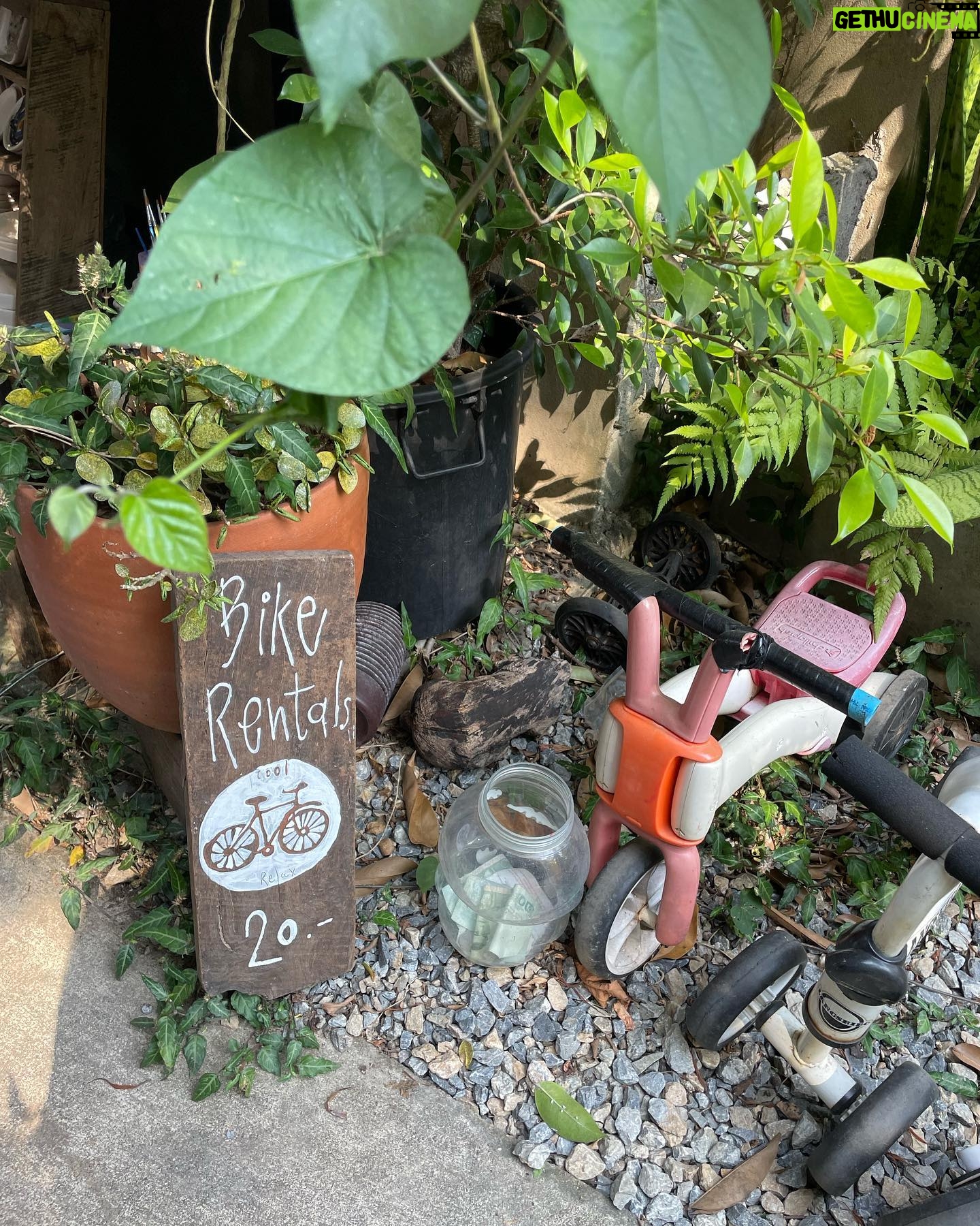 Kim Cho-yeop - 2.8K Likes - 치앙마이 일상 🌱