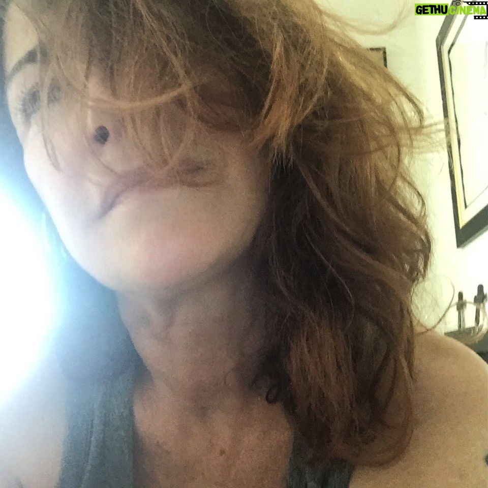 Kim Delaney - 1K Likes - I’m thinking about our Independence Day, which many of us will celebrate Saturday. I’m thinking a lot about the meaning of “life, liberty and the pursuit of happiness “, especially in this challenging year. I learned the other day about a pair of letters John Adams wrote to his wife, Abigail, on July 3, 1776—the day after the Continental Congress in Philadelphia (my home town!) voted to declare independence from Great Britain. His words are so moving. He tells Abigail that he believes July 2 will be the day Americans will celebrate as their “day of deliverance “. But what impressed me most how Adams clearly understood the gravity of the struggle ahead: “You will think me transported with enthusiasm, but I am not. I am well aware of the toil, and the blood, and treasure, that it will cost us to maintain this declaration...Yet, through all the gloom, I can see the rays of ravishing light and glory. I can see that the end is more than worth all the means.” Adams might have been off by two days, but I hope we can all find hope and inspiration in his words, 244 years later.