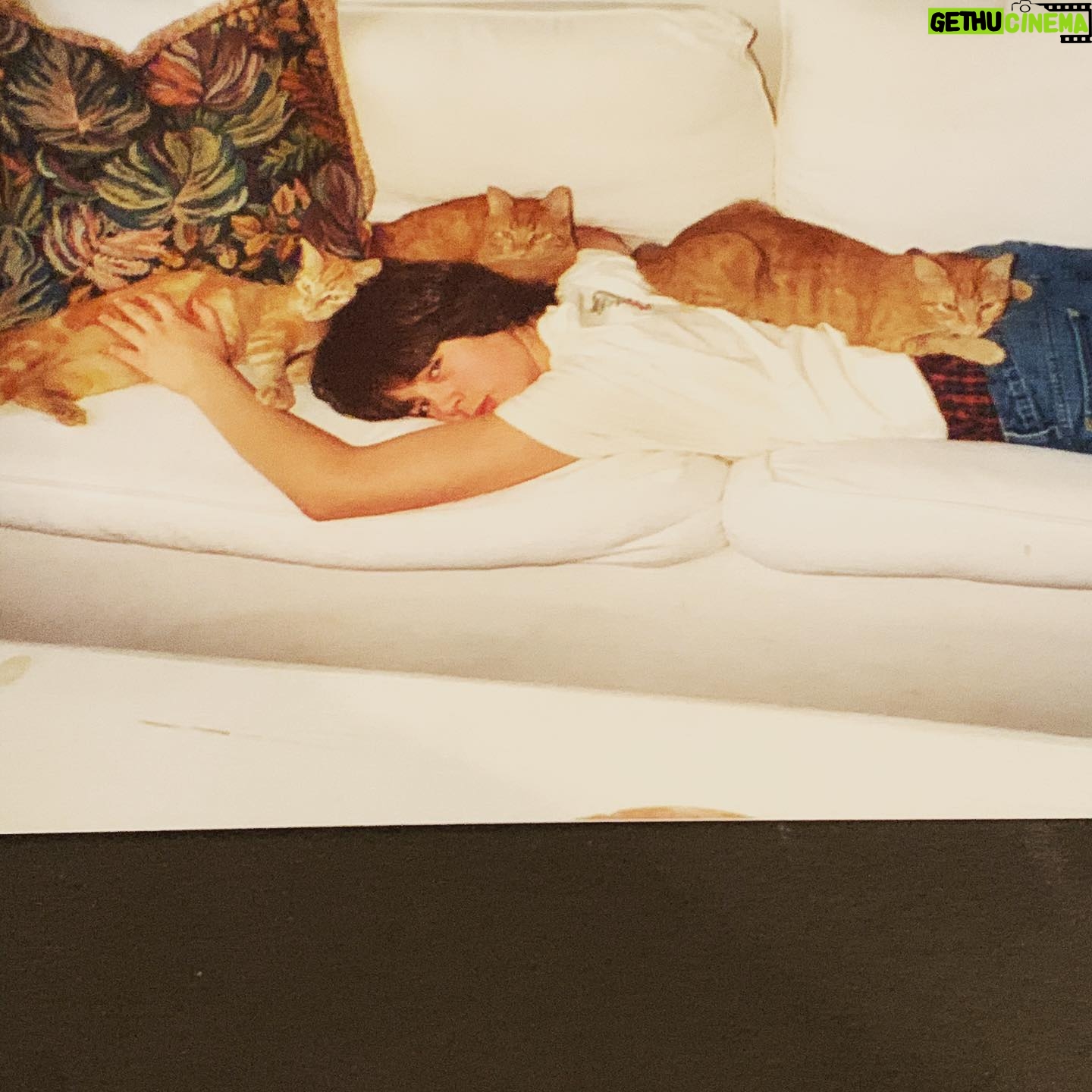 Kim Delaney - 1K Likes - This is where we started....
My Son, My Moon, My Star!
The best gift I’ve ever been blessed to receive.
#happybirthday #angel
You make me smile 24/7.
Your strength, your kindness, your compassion and talent is unmatched...
Happy, Happy, Happy 30th! I love you beyond infinity. xxx #myhome