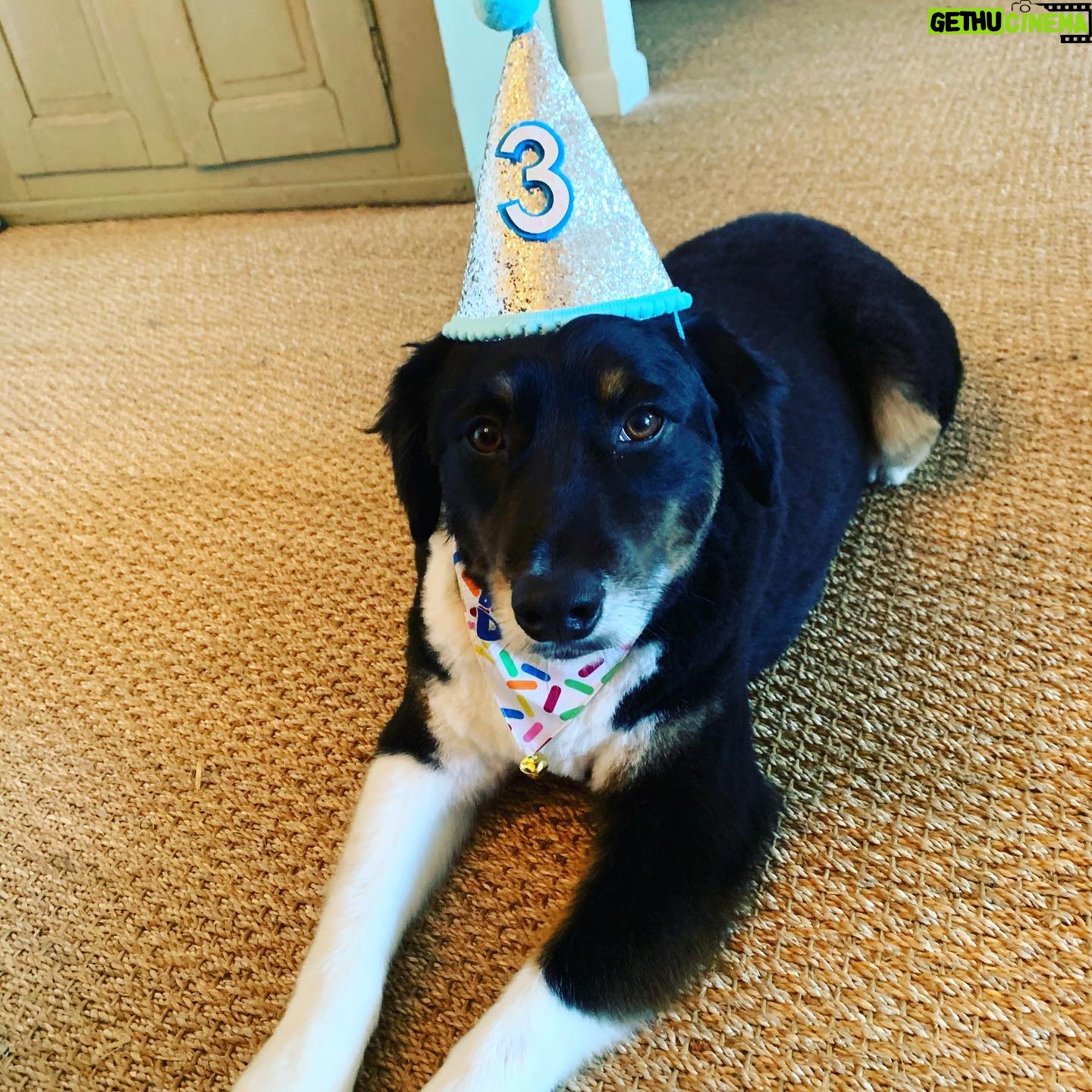 Kim Delaney - 813 Likes - #karmaforacure #aussie #hbd #bud