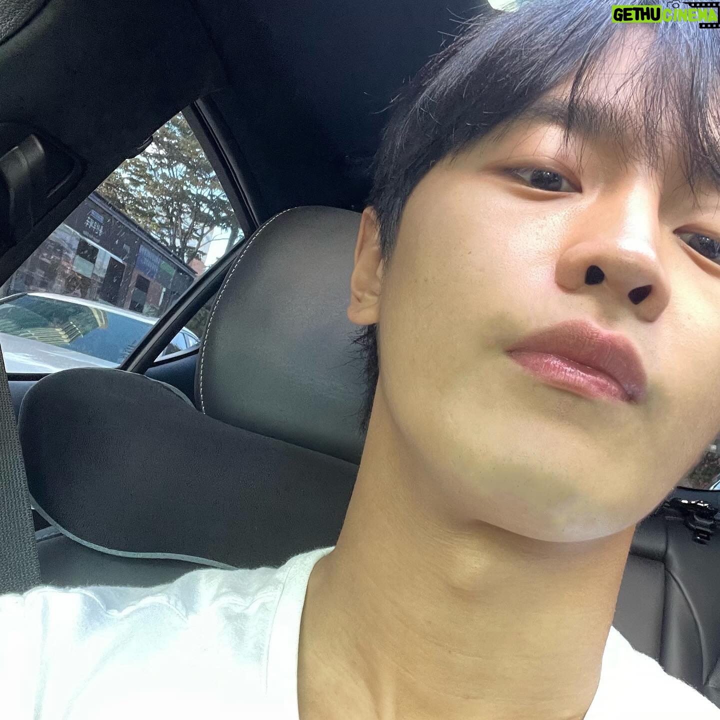 Kim Do-wan - 164.9K Likes -