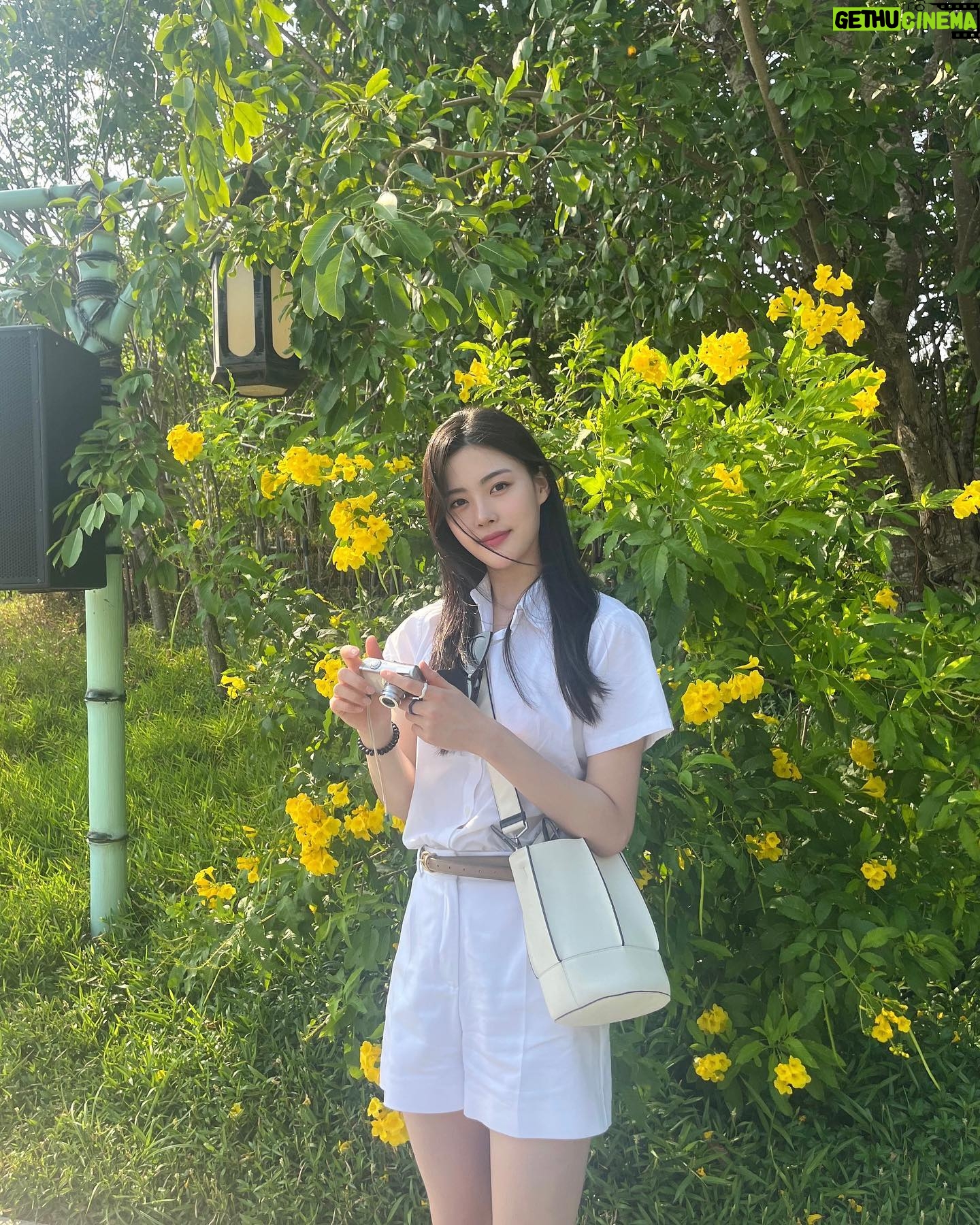 Kim Gyu-yeon - 3 Likes - 🇻🇳