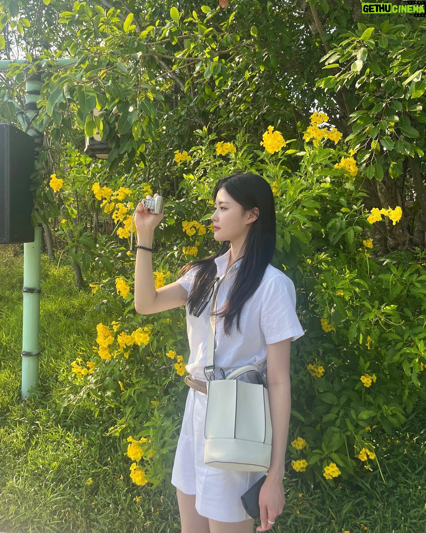 Kim Gyu-yeon - 3 Likes - 🇻🇳