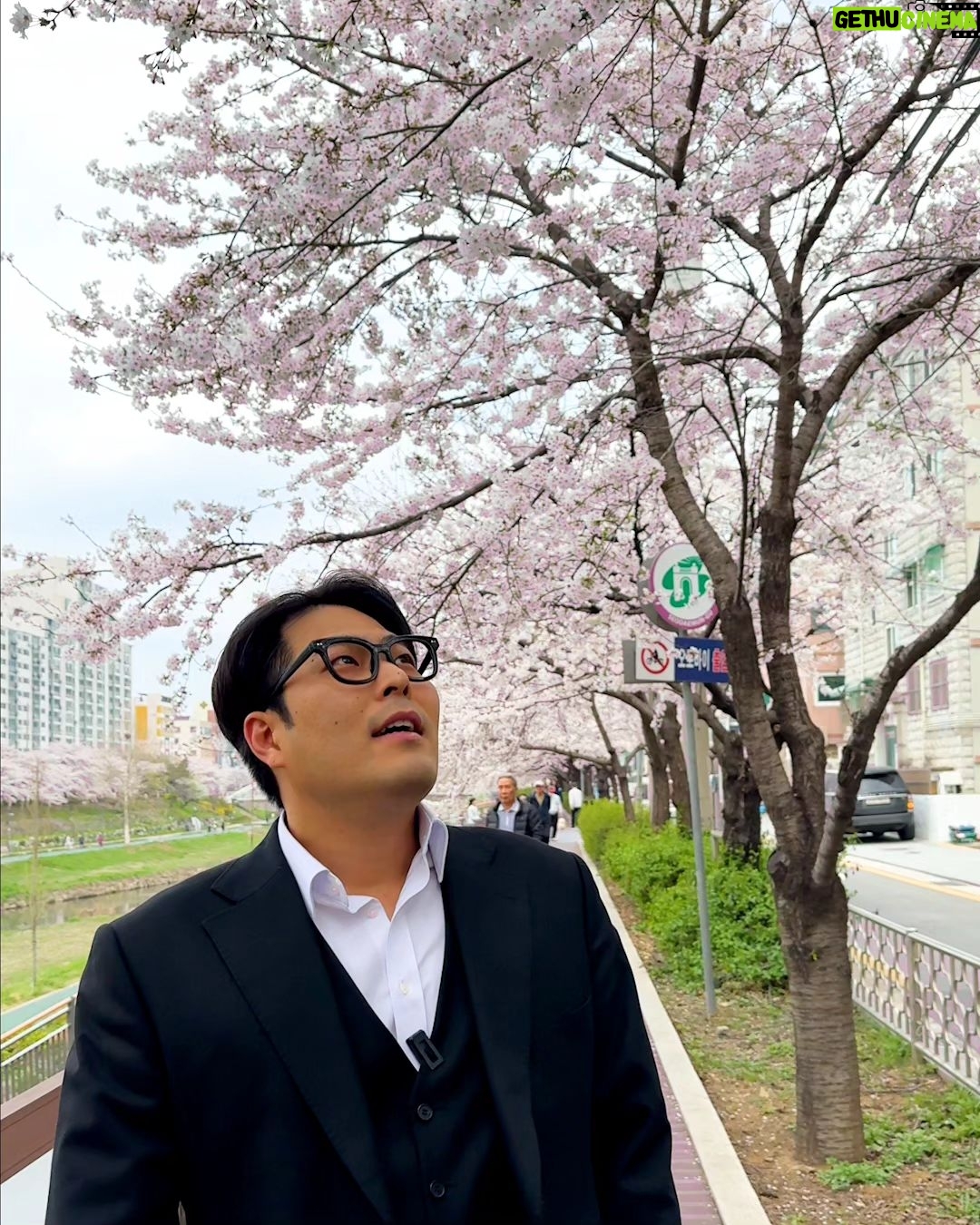 Kim Hae-jun - 4.4K Likes - 벚꽃이 내리는 속도,
초속 5cm.
#벚꽃 #봄 #감성