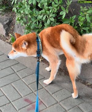 Kim Hyeon-jae Instagram - 