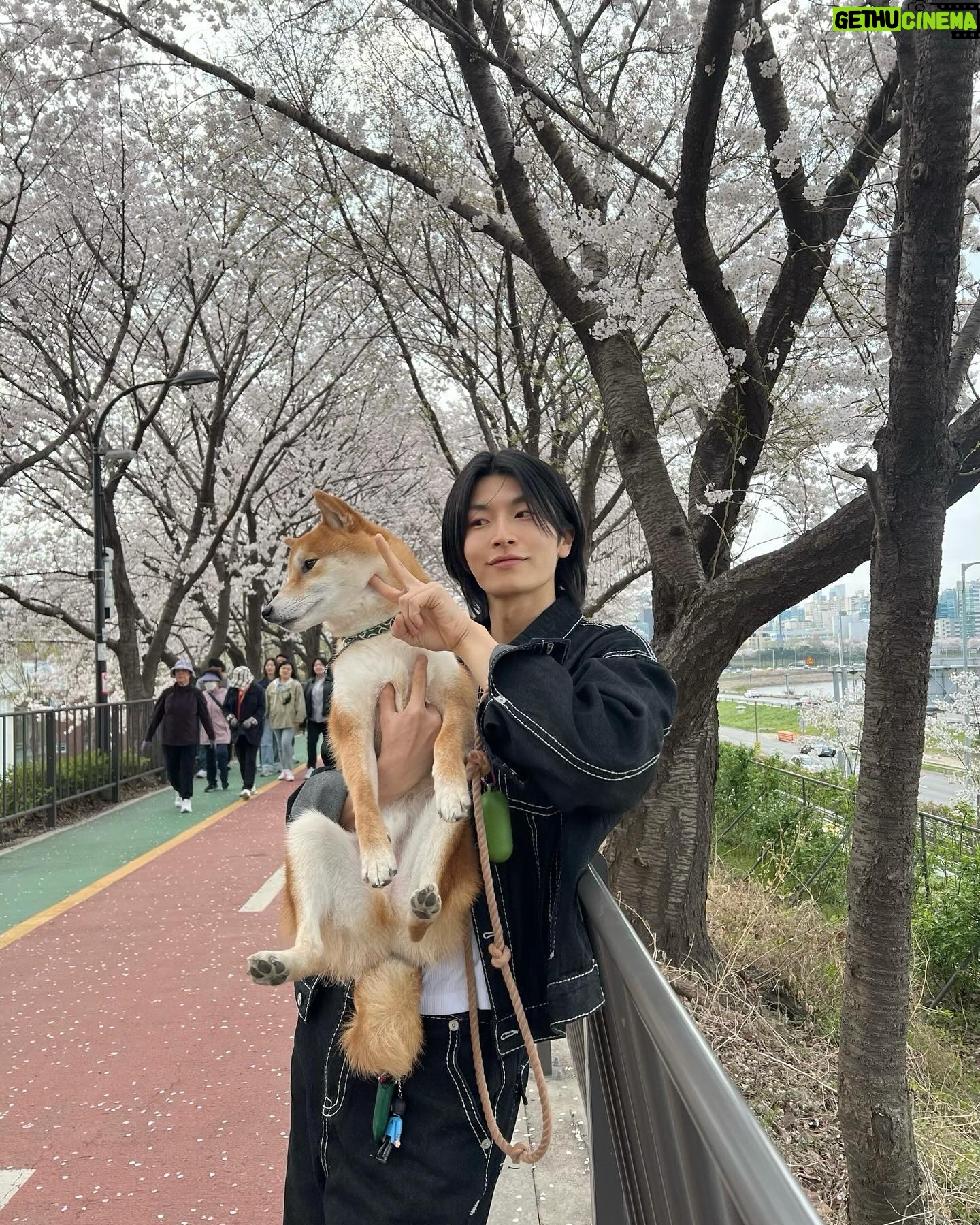 Kim Hyeon-jae - 16K Likes -