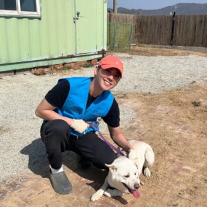 Kim Hyung-suk Instagram - 🐶🐕🦮🐕‍🦺🐩

#유어사이드 #안성평강공주보호소 #유어사이드봉사단 #터글 #헤이리본  #유기견 #유기견봉사 #사지말고입양하세요