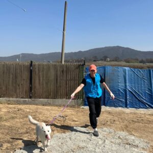 Kim Hyung-suk Instagram - 🐶🐕🦮🐕‍🦺🐩

#유어사이드 #안성평강공주보호소 #유어사이드봉사단 #터글 #헤이리본  #유기견 #유기견봉사 #사지말고입양하세요