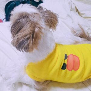 Kim Jae-duck Instagram - 오리월드!!!멍꽥멍꽥?!! #자면서웃는다
#오늘도웃자