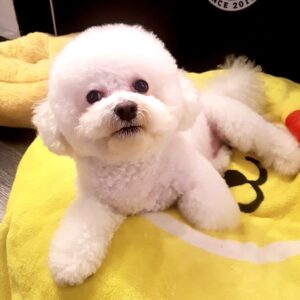 Kim Jae-duck Instagram - 너 언제부터 이렇게 예뻤어?