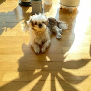 Kim Jae-wook Instagram - Sunday ☀️