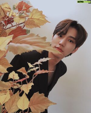 Kim Jae-yong Instagram - #사진