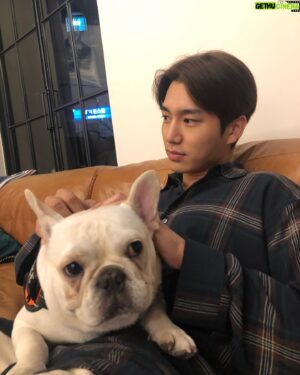 Kim Jae-yong Instagram - 🐶🌝👀