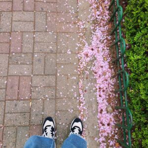 Kim Ji-hyun Instagram - 꽃길🌸