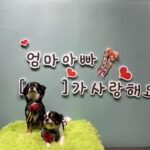 Kim Ji-min