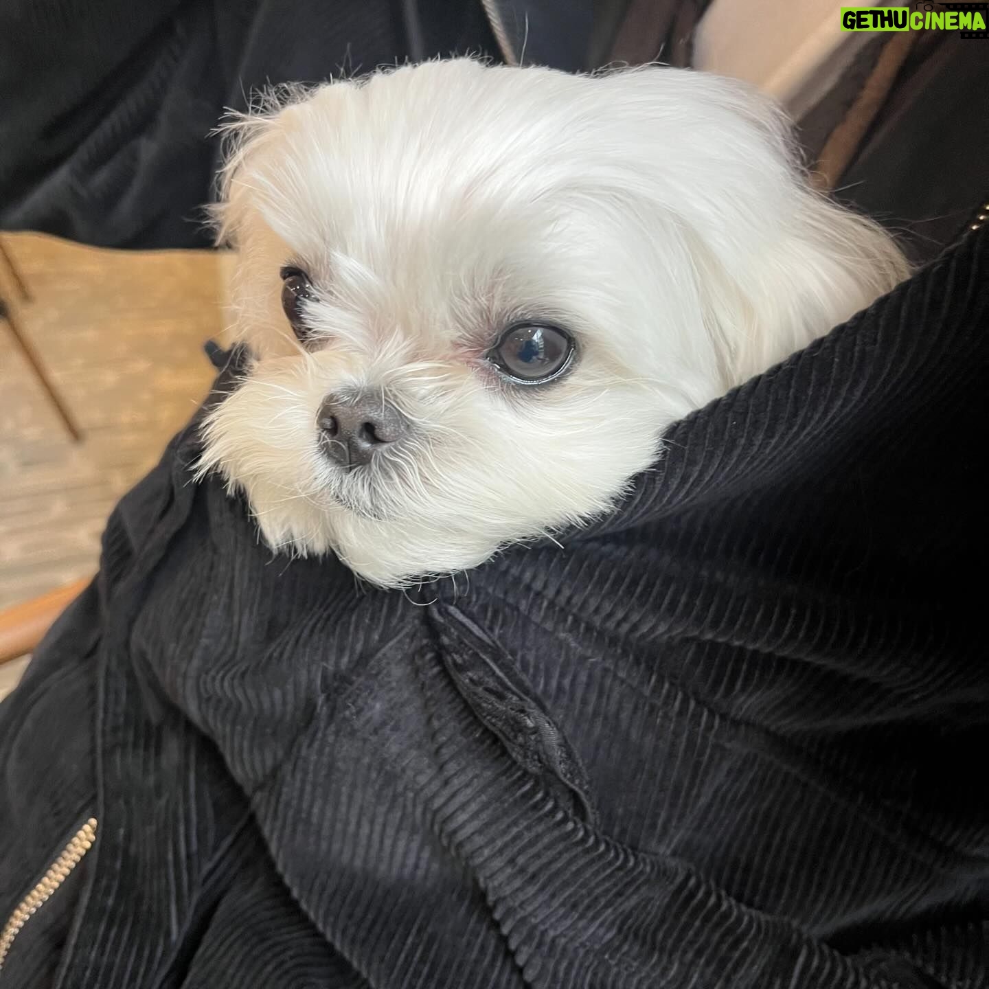 Kim Ji-seok - 19.8K Likes - 개따뜻…개졸림…💛
