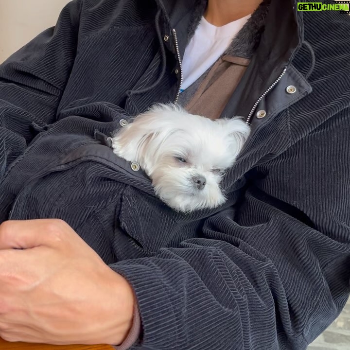 Kim Ji-seok - 19.8K Likes - 개따뜻…개졸림…💛